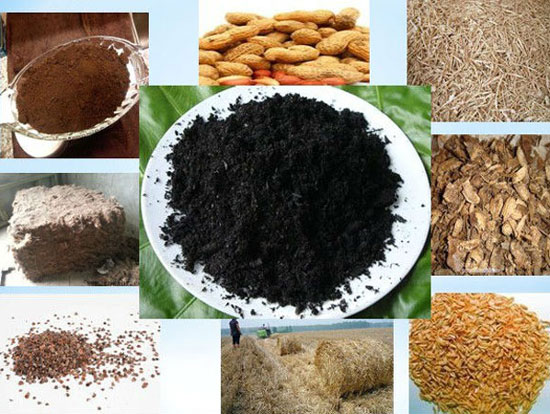 Biochar from Various Biomass Wastes