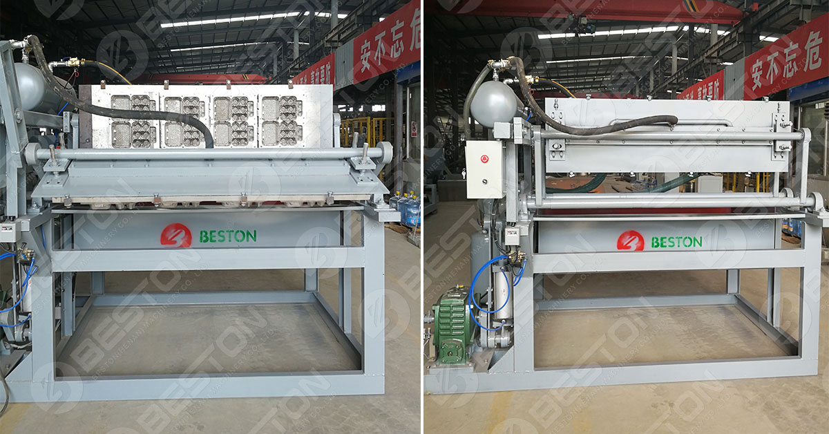 Beston Egg Box Making Machine for Sale